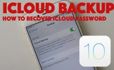 Elcomsoft Phone Breaker IOS10 BACKUP